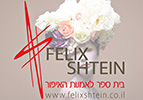 פליקס שטיין