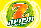 תפוזינה